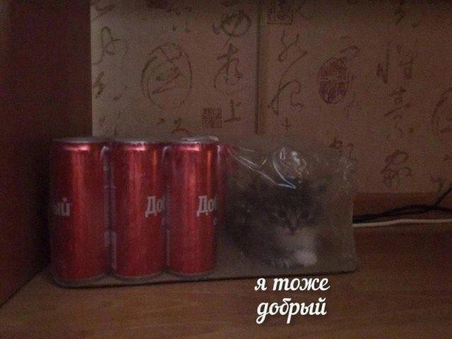 Картинки на среду