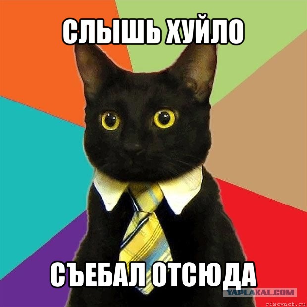 СтопХамСПб - Случайный прохожий