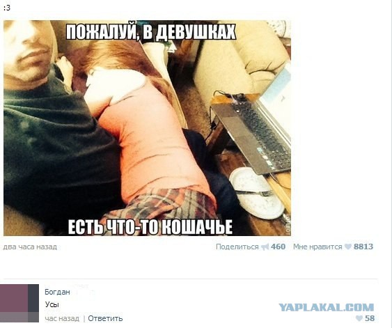 Смешное из соц сетей