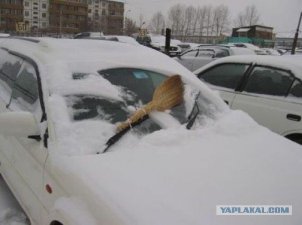 Картинки