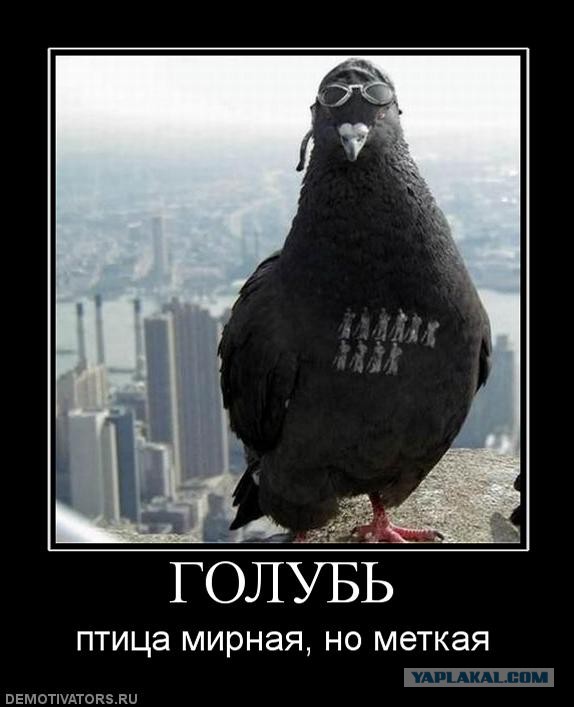 Чего нам не хватало на полках магазинов