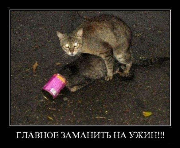 Если бы афиши к фильмам рисовали по названию