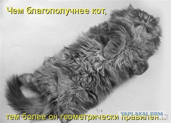 Подборка смешных картинок :)