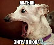 Как спокойно проехать мимо ДПС