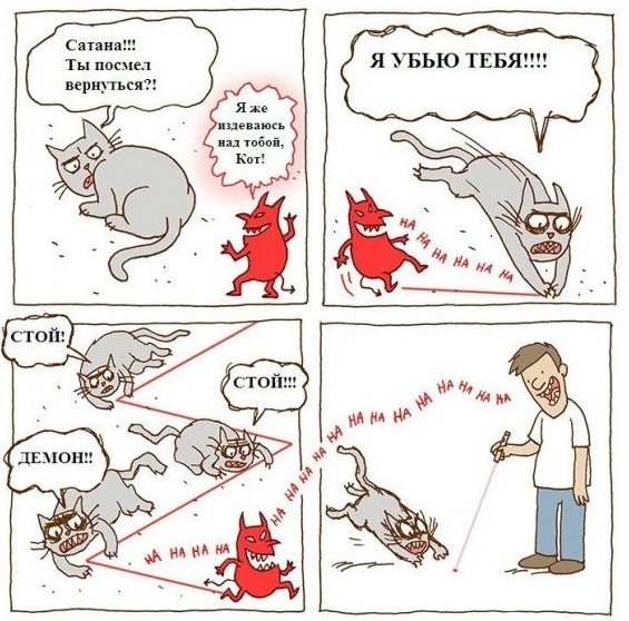 Коты - телохранители