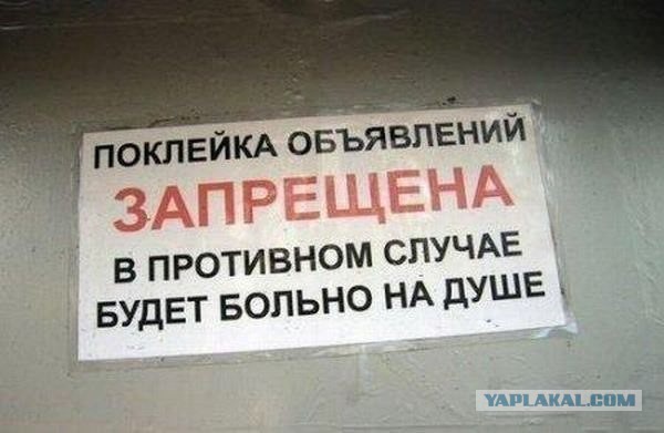 Смешные комментарии из социальных сетей 13.11.14