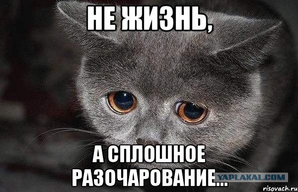 Обнаружил переписку своей жены с другом детства