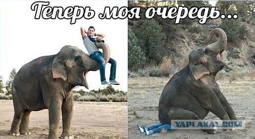 Обнаружил переписку своей жены с другом детства