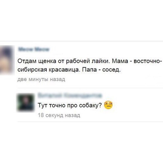 Смешные комментарии из социальных сетей