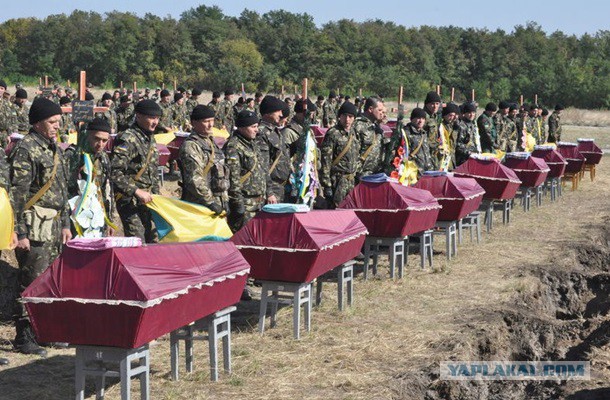 Дневник офисного планктона: от майдана