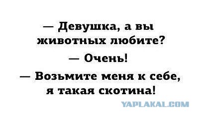 Так..картинки на понедельничек))