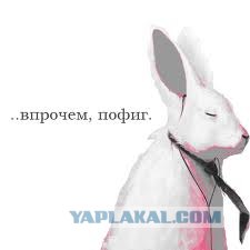 По мотивам олимпиады