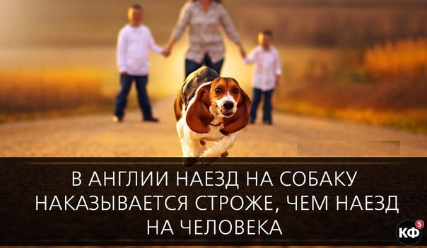 25 интересных фактов.
