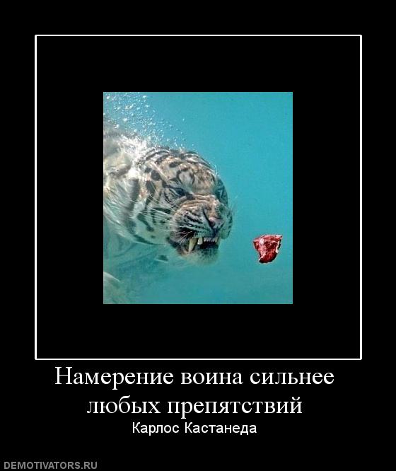 Вы хотите "демов"?