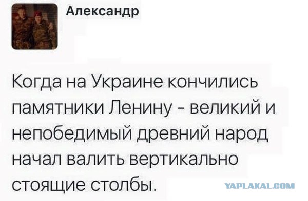 15 картинок с тЫрнета