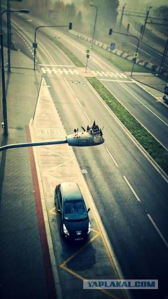 Подборка прикольных фото на среду