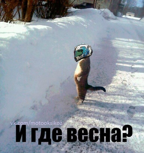 Позитивные картинки на мотоциклетную тему