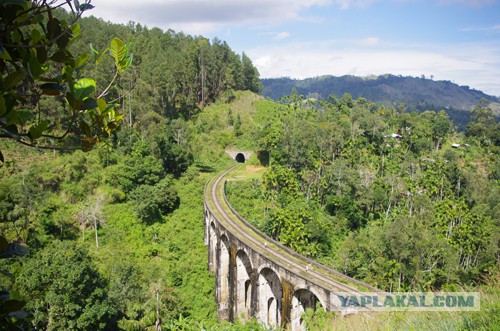 Самостоятельное путешествие в Шри-Ланку