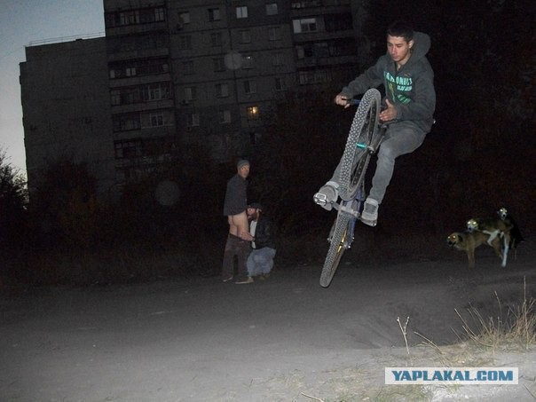 19 фотографий, где фон намного интересней переднего плана