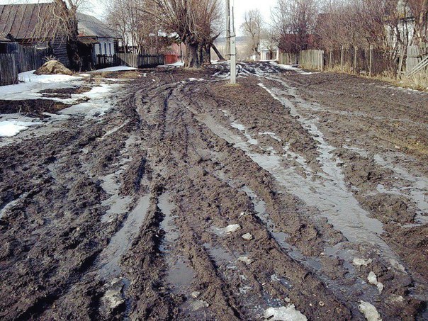 Картинки из сети, бессмысленные и беспощадные