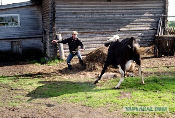 Интересные моменты из жизни  деревни