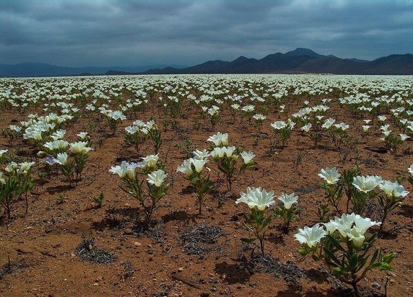 Интересные и веселые картинки