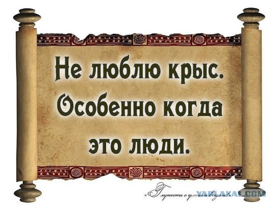 В Москве при получении взятки в 400.000 евро в ресторане задержан Никита Белых
