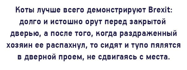 Порция позитива на вторник