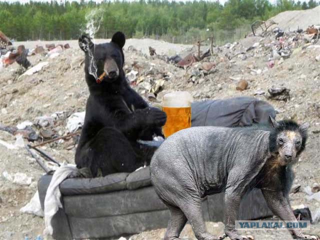 Одинокий мужчина