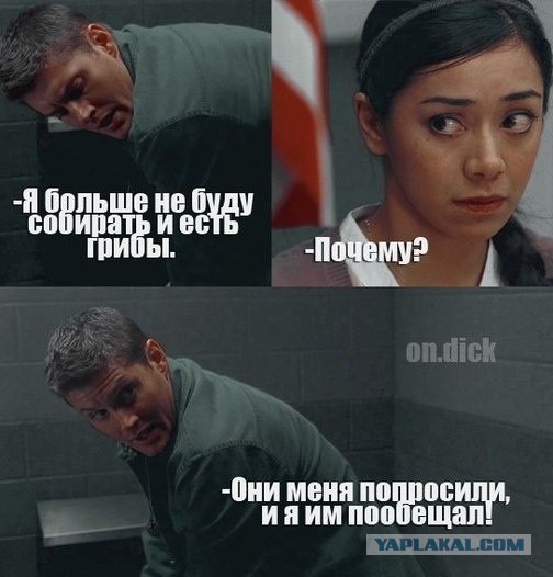 Лёгкой наркомании и тупости пост
