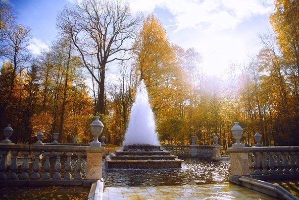 Порция картинок