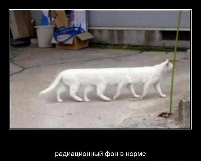 Разве так встречают гостей?