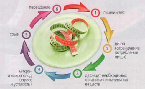 Про широкую кость, генетику и снижение веса.