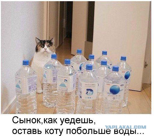 Подборка интересных и веселых картинок
