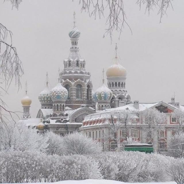 Моменты, запечатлённые на фото и просто позитив 5