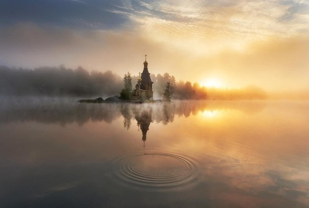 Моменты, запечатлённые на фото и просто позитив 5