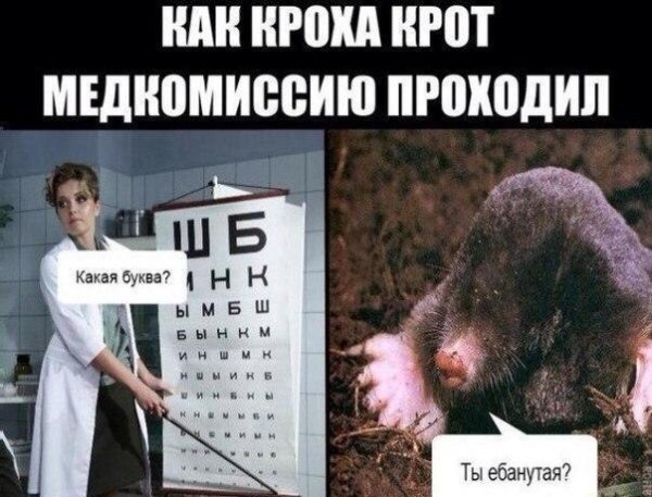 Деградации ЯПу