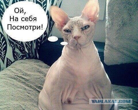 Нет, это не голый человек