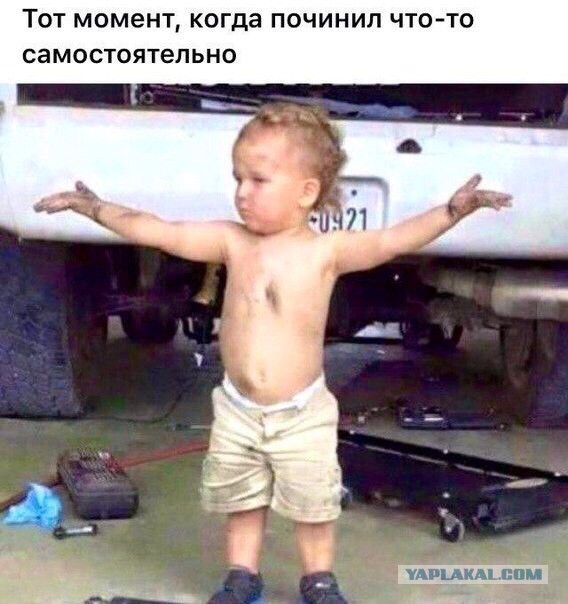 Деградировать подано, дамы и господа!