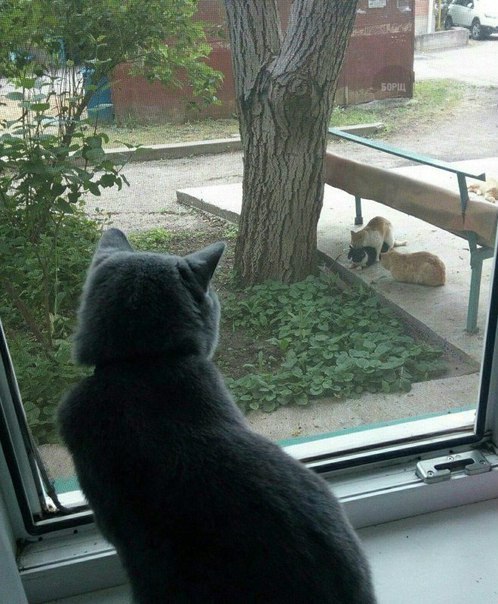 Подборка интересных и веселых картинок