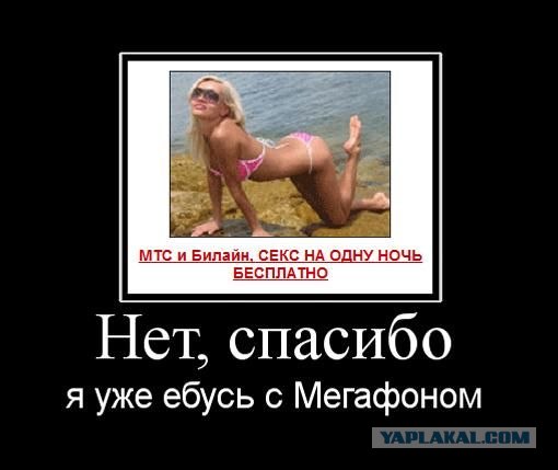 Имел я ваш билайн