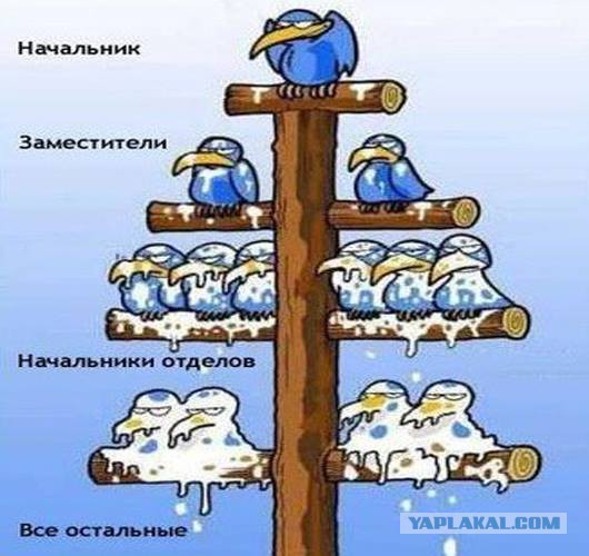 В социальном лифте нагадили