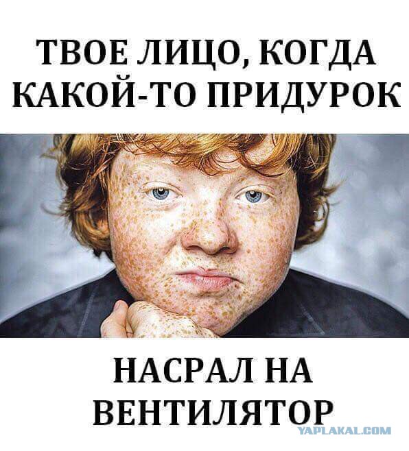 Подборка интересных и веселых картинок