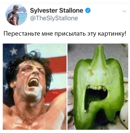 Прикольные картинки абавсём