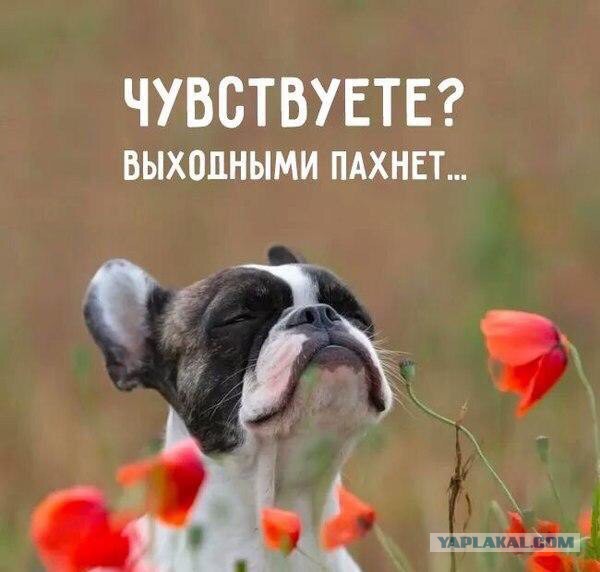Алкопост на вечер этой пятницы