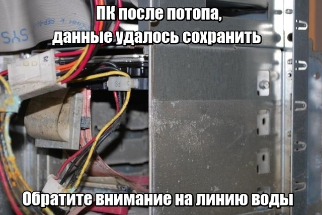 Прикольные картинки абавсём