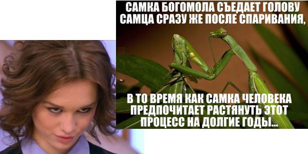 "Как жена сказала, так и будет!": бесхребетные подкаблучники, которые покинули мужские ряды