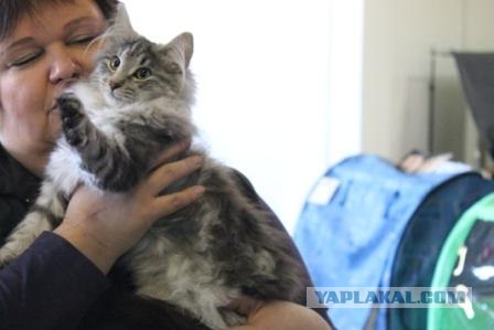 Котовторник 27.03.2012
