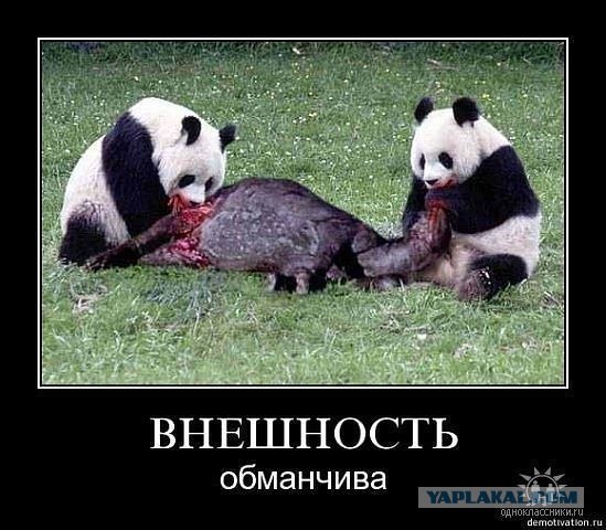 Про сытое царство лени