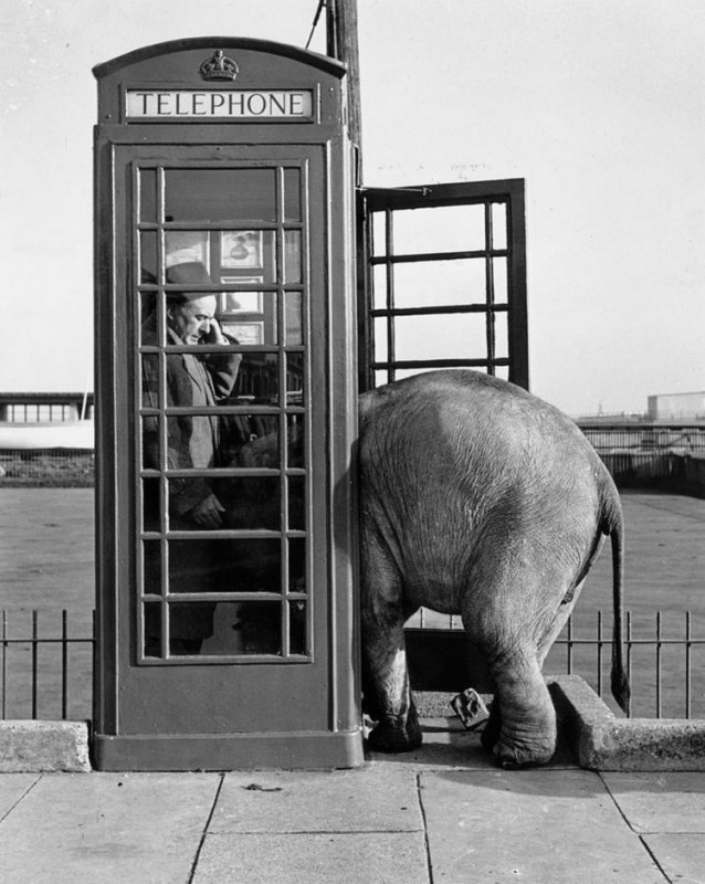 Интересные и редкие ретро-фотографии